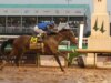 Soberania vence a 151ª edição do Kentucky Derby