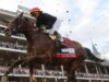 Vencedor do Kentucky Derby pulando Preakness Stakes, não fará a Triple Crown correr