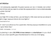 O Google atualiza a pesquisa de IA para incluir citações do Reddit e outras fontes