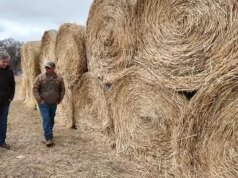 Fazendeiros isolados de Nebraska aprendem que não estão sozinhos