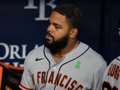 O estádio brutal do Rays parece custar o residence run dos Giants, levando a expulsões