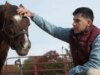 Potência: como os cavalos são terapêuticos