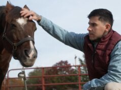 Potência: como os cavalos são terapêuticos