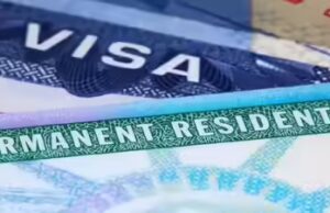 Inexperienced Card não é visto, você não pode devolvê-lo se não gostar, alerta advogado de imigração