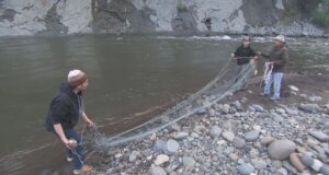 Proteger o salmão preserva um modo de vida para uma tribo do noroeste do Pacífico