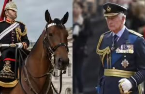Rei Carlos ‘chocado e triste’ quando soldado britânico morre após cair do cavalo
