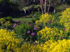 Natureza: Jardim Chantecler