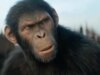 O diretor de “Quarteto Fantástico”, Matt Shakman, dirigirá o próximo filme de “Planeta dos Macacos”