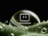 O novo aplicativo para Mac da Perplexity traz computadores pessoais para usuários profissionais