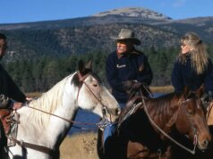 Por que a abordagem de Ted Turner à conservação é a mentalidade que a América precisa desesperadamente agora