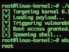 Nova exploração perigosa do Linux dá aos invasores acesso root a inúmeros computadores