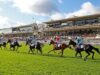 Kolokico é a atração principal do Grand Steeple-Chase de Paris