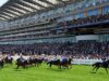 Assista aos destaques de Chester, Royal Ascot e Newbury na Sky Sports activities