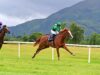 O favorito do Derby, Benvenuto Cellini, é a manchete do confronto com Chester Vase