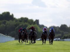 Desert Cop é a manchete do Dash Collection Qualifier em Windsor