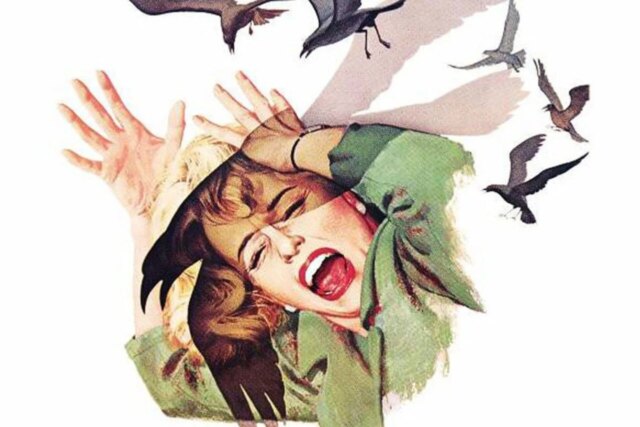the-birds-hed-1280x853.jpg
