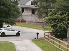 Carros sem motorista Waymo invadem o bairro de Atlanta, circulando sem saída e alarmando famílias com crianças