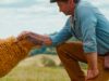 ‘The Sheep Detectives’ é o policial estrelado e acquainted que você não sabia que precisava