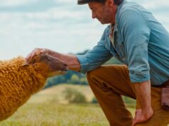‘The Sheep Detectives’ é o policial estrelado e acquainted que você não sabia que precisava