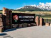 Ataque de urso no Parque Nacional de Yellowstone deixa 2 caminhantes feridos