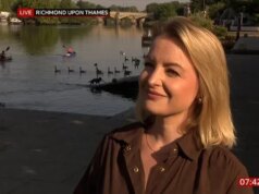 Os telespectadores do café da manhã da BBC identificam um cachorro causando caos no fundo da entrevista