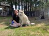 Família de Ontário luta para manter cão-lobo ‘gigante gentil’ após ameaça de apreensão pela província
