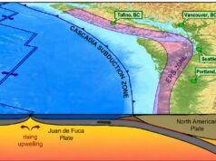 Estudo de tsunami em Tofino, BC aponta centenas de mortos e perdas de US$ 1 bilhão