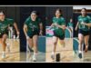 AO VIVO: Draft de novato PVL 2026