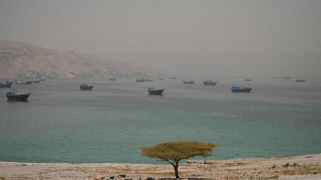 2026-06-12T082043Z_1779541025_RC2JRLAVMW8B_RTRMADP_3_IRAN-CRISIS-OMAN-HORMUZ.JPG