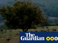 Crítica Dry Leaf – caminhada de três horas pelos campos de futebol da Geórgia em busca de uma filha