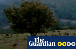 Crítica Dry Leaf – caminhada de três horas pelos campos de futebol da Geórgia em busca de uma filha