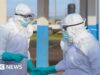 A queda nos números oficiais do Ebola parece ser uma boa notícia, mas não é tão simples