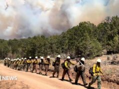 Três bombeiros morrem lutando contra grandes incêndios florestais na fronteira Colorado-Utah
