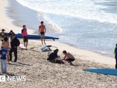 Mulher gravemente ferida em ataque de tubarão na praia de Sydney
