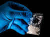 DEA ‘recostou-se e assistiu’ enquanto o fentanil inundava o Novo México – AP