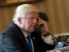 Trump confirma que chamou Netanyahu de “louco”