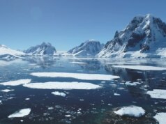 ‘Isso é absolutamente louco’: as temperaturas na Antártida atingiram um recorde neste mês