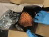 Federais dizem que um traficante da Darknet chamado ‘DaddyBiden’ vendeu Adderall falso misturado com metanfetamina