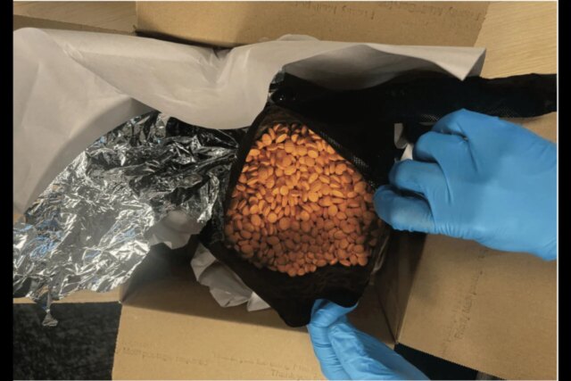 Darknet-Market-Fake-Adderall-Pills-1280x853.jpg