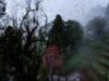 Dia Mundial da Música de 2026: playlist de chuva, memórias e momentos de monção de Calcutá