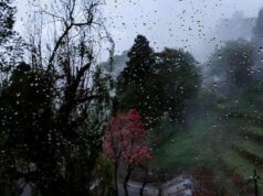 Dia Mundial da Música de 2026: playlist de chuva, memórias e momentos de monção de Calcutá