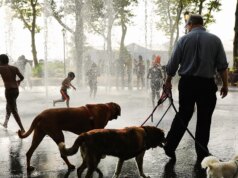 Nova York está prestes a se sentir mais quente que Phoenix