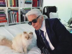 A vida do gato de Karl Lagerfeld quebrou depois de receber ‘absolutamente nada’ da herança de £ 1.500.000