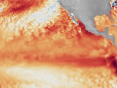 É um ano de Tremendous El Niño? Isso poderia virar o clima do mundo de cabeça para baixo