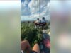 Os pilotos do Georgia Six Flags ficaram temporariamente pendurados no ar devido a ‘atraso técnico’