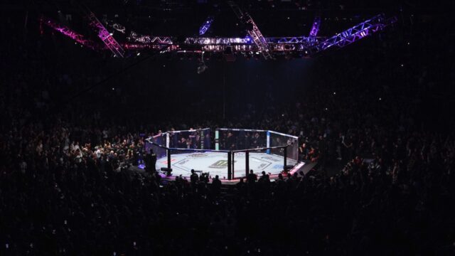 UFC-Octagon-cage.jpg