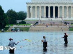 Ex-atleta olímpico nega ter vandalizado o espelho d’água de Washington após prisão