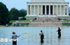 Ex-atleta olímpico nega ter vandalizado o espelho d’água de Washington após prisão