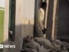 Homem nigeriano preso por armazenar fezes humanas fora de casa