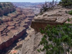 Adolescente morre após apresentar sintomas de doença relacionada ao calor em caminhada no Grand Canyon